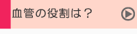 血管の役割