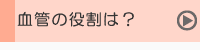 血管の役割